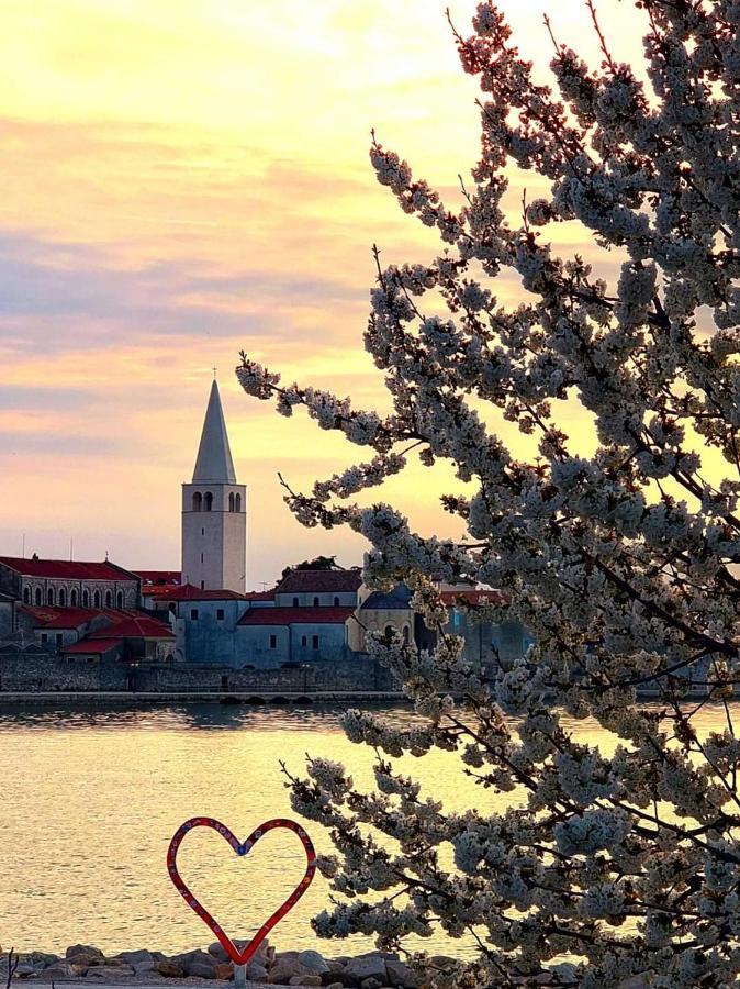 Apartman Perla Deluxe Porec Esterno foto